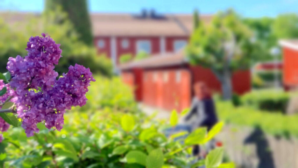 Bostadsrättsföreningen Odense